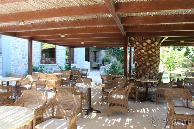 "Отель капиталистов"