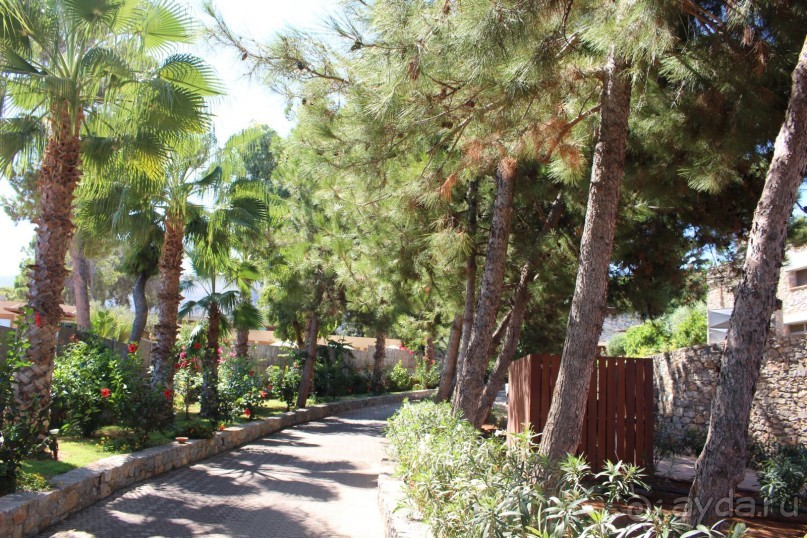 "Отель капиталистов"