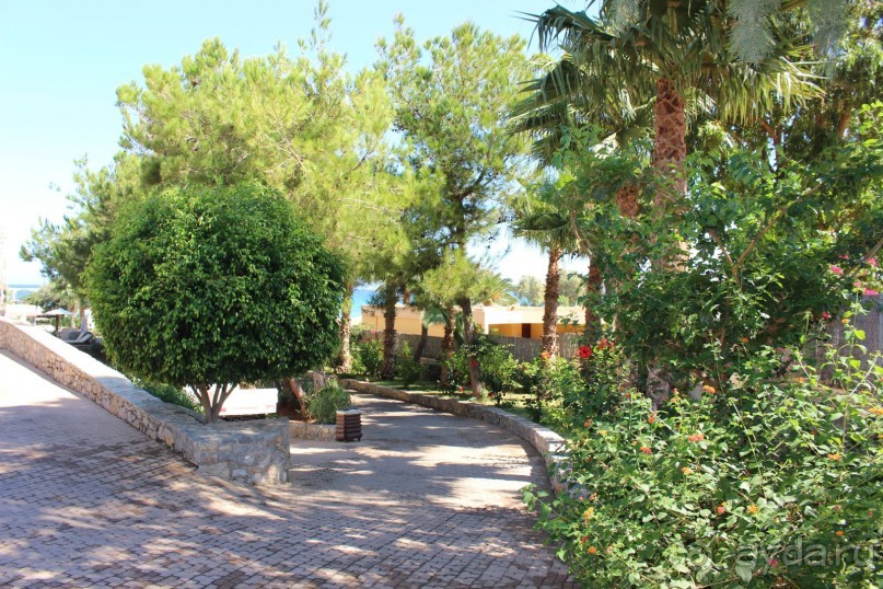 "Отель капиталистов"