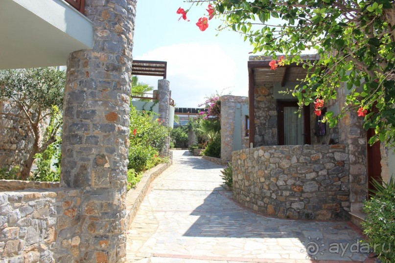 "Отель капиталистов"