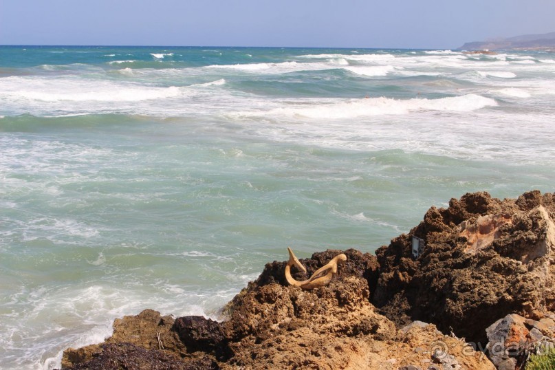 "Отель капиталистов"