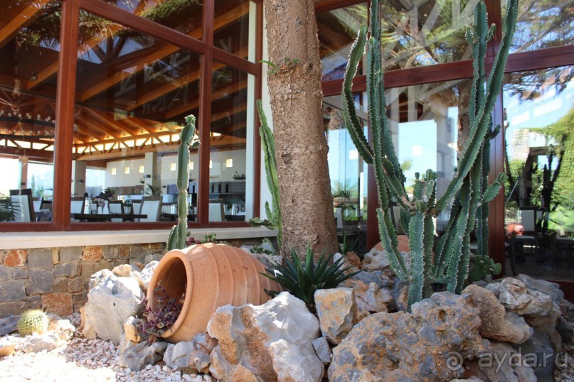 "Отель капиталистов"