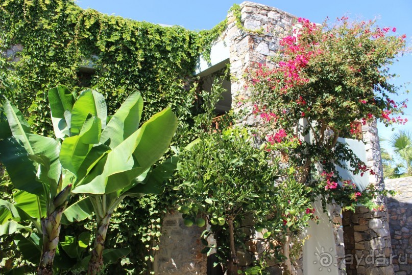 "Отель капиталистов"