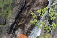 Удивительная красота! Водопад Ворингфоссен