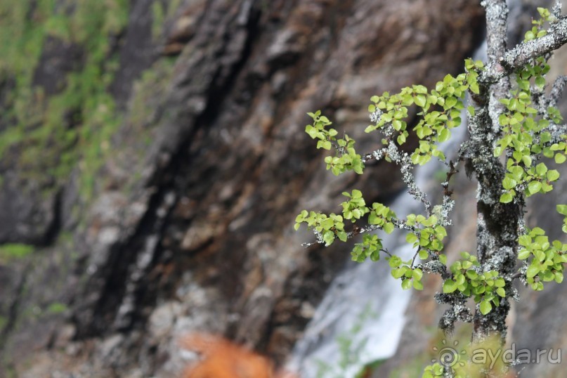 Удивительная красота! Водопад Ворингфоссен
