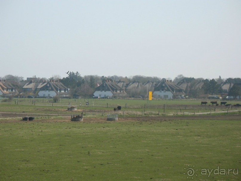 Остров Зюльт - престижный курорт на севере Германии