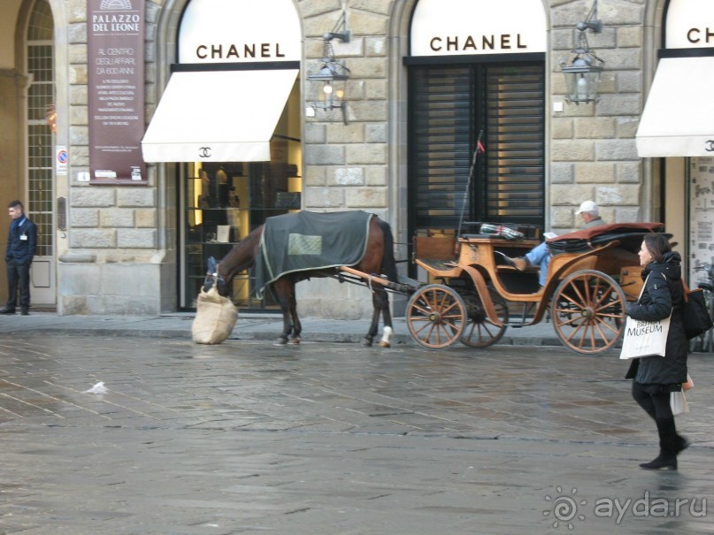 Из хорошего - только расположение