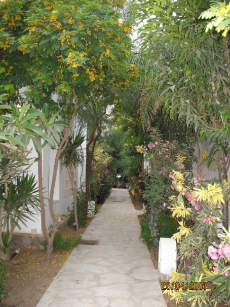 фото Sabena Marmara