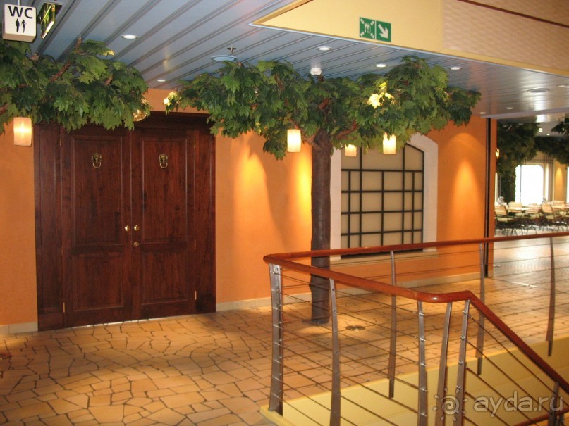 Клубный корабль AIDAsol (круиз Мадейра - Канарские острова)