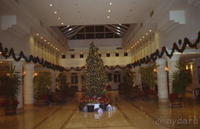 Отель Coral Beach Rotana Resort 4*