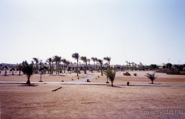 Отель Coral Beach Rotana Resort 4*