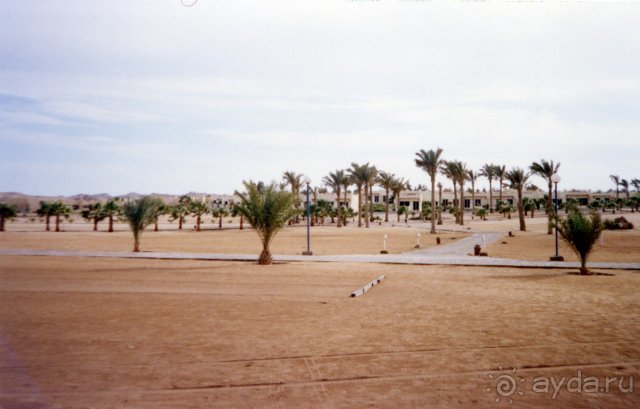 Отель Coral Beach Rotana Resort 4*