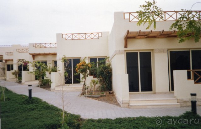 Отель Coral Beach Rotana Resort 4*