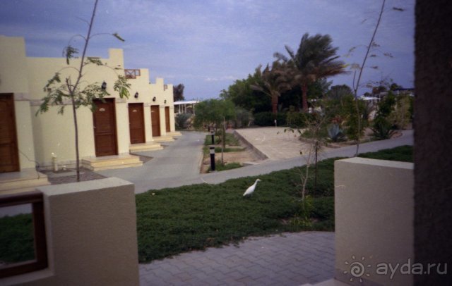 Отель Coral Beach Rotana Resort 4*