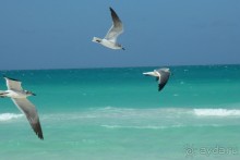 Куба самостоятельно март 2015 года