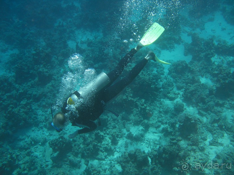 фото Faraana Reef Resort