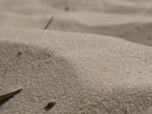 Приятный отдых