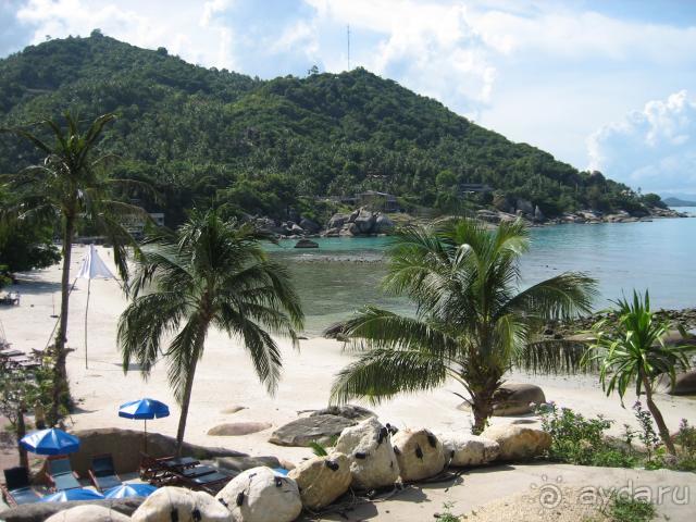 Белый песок, изумрудная вода и пальмы!