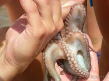 Отдых удался!