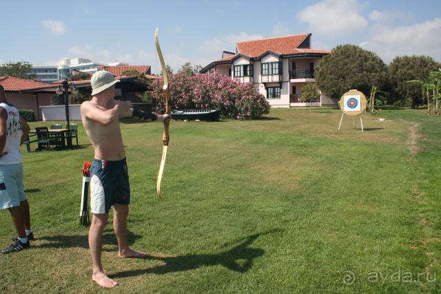 любимая всеми стрельба из лука