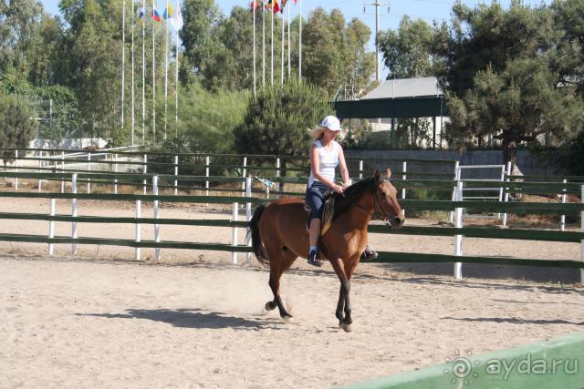 с ветерком на Султане!