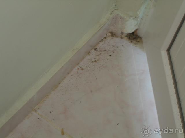 мы за это не отвечаем