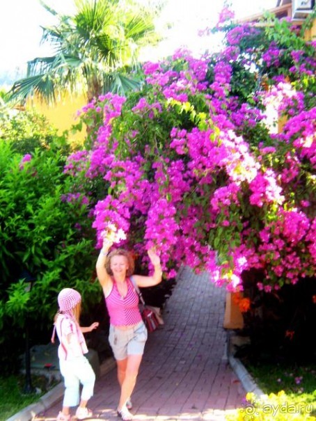 Seker Resort