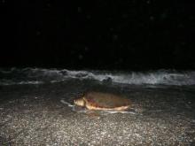 Отель отличный !