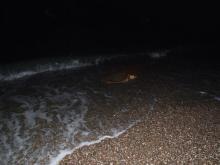 Отель отличный !