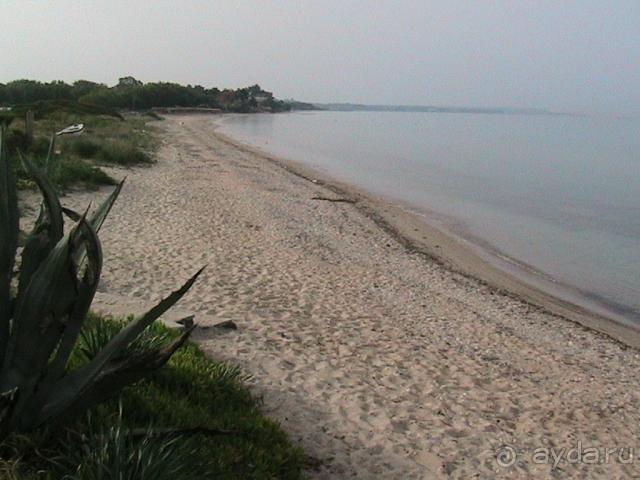 хуже ничего не видела