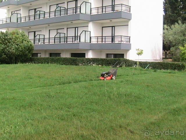 хуже ничего не видела