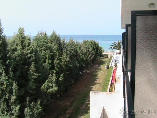 хуже ничего не видела