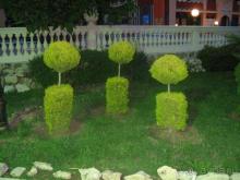 все в Елените!!!