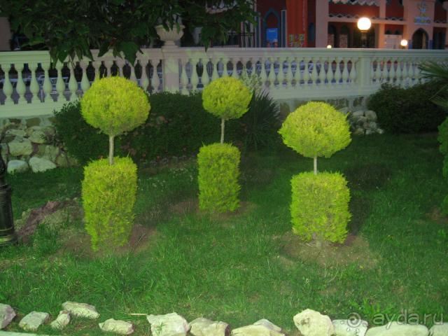 фото Smetana-Vysehrad