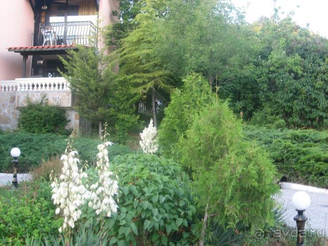 фото Smetana-Vysehrad