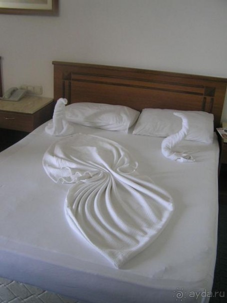 фото Bristol Palace