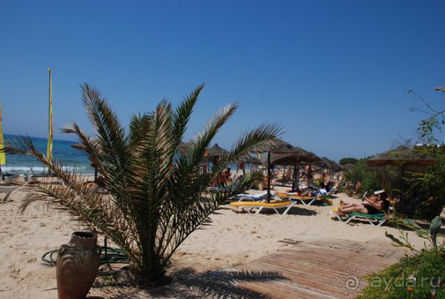 Хорошо в Тунисе летом!