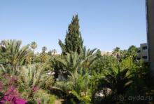 Хорошо в Тунисе летом!