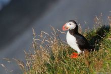 Красивейшая Исландия