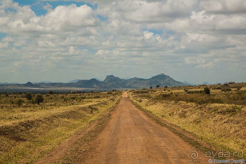 Восточная Африка: Уганда, Руанда и немножко ОАЭ 2015-16 