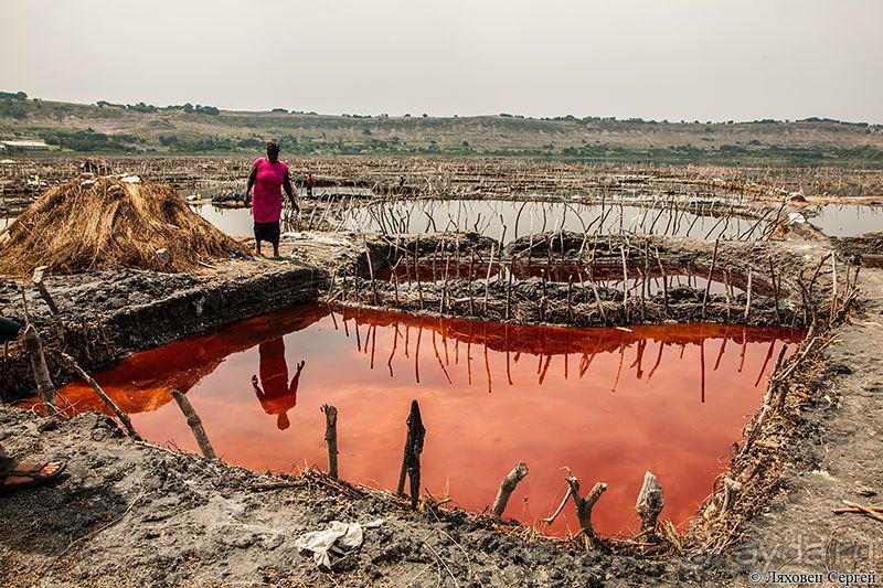 Восточная Африка: Уганда, Руанда и немножко ОАЭ 2015-16 