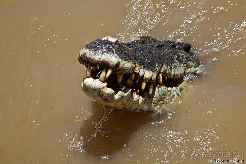 Пересечение Австралии через пустыню