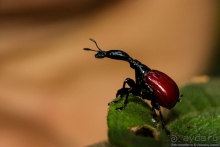 Автопутешествие по Мадагаскару