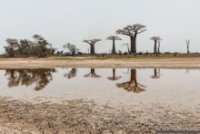 Автопутешествие по Мадагаскару