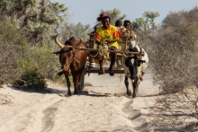 Автопутешествие по Мадагаскару