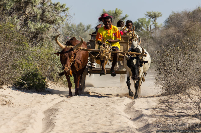 Автопутешествие по Мадагаскару