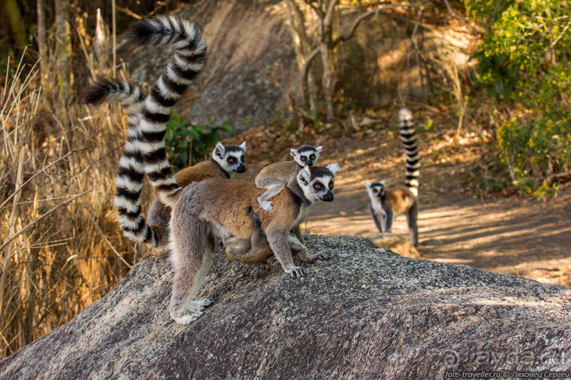 Автопутешествие по Мадагаскару