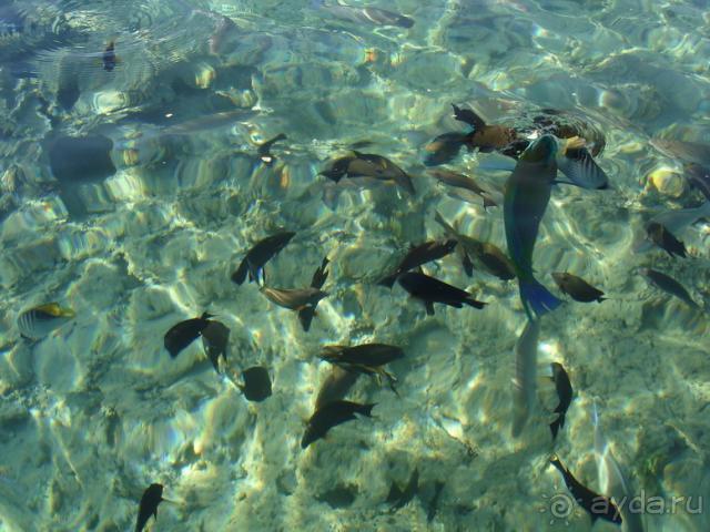 фото Club Pinara