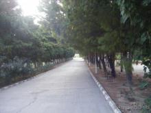 дорога на пляж