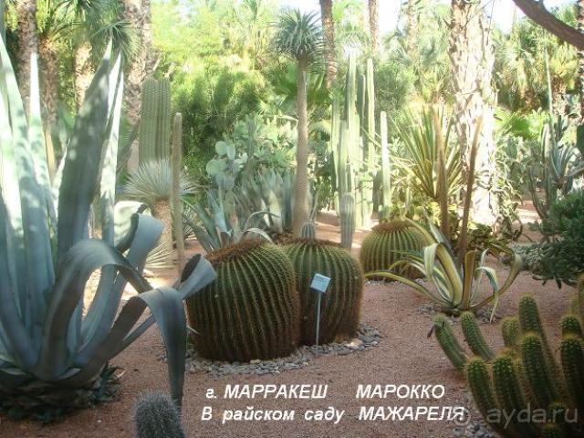 Марокко
